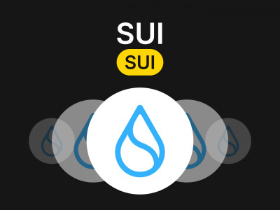 Разбор монеты SUI