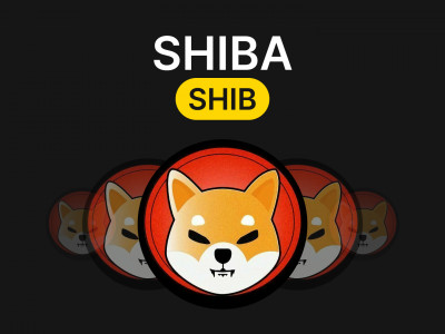Разбор монеты SHIBA