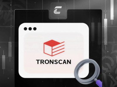 TronScan: как отслеживать блокчейн-транзакции в сети TRON