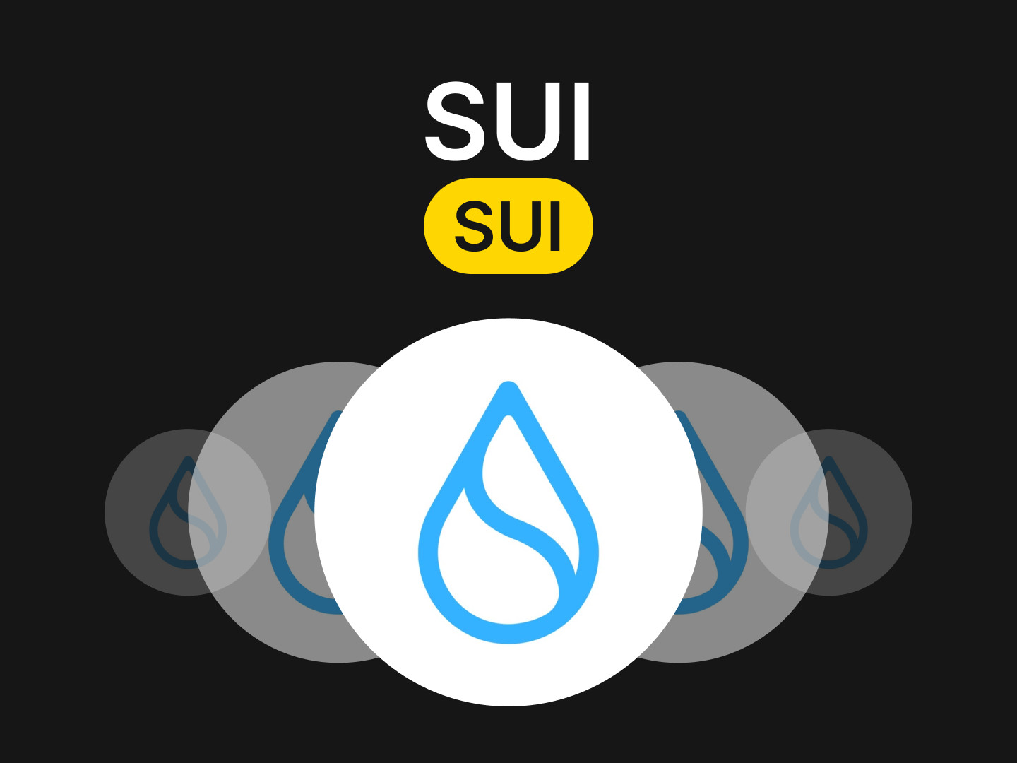 Разбор монеты SUI