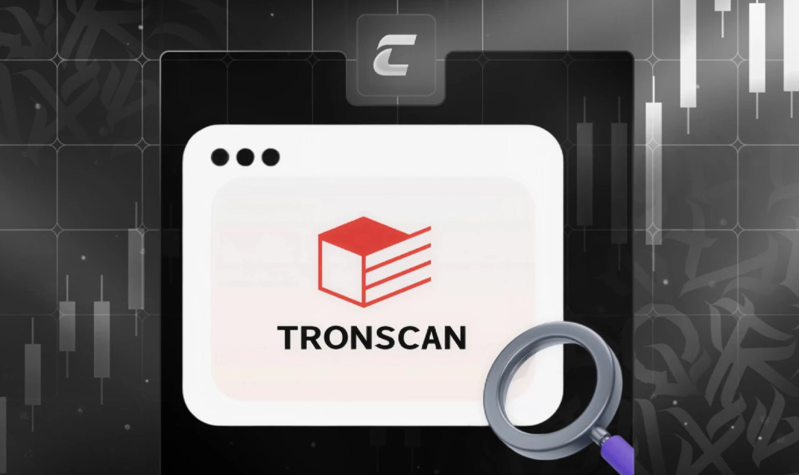 TronScan: как отслеживать блокчейн-транзакции в сети TRON